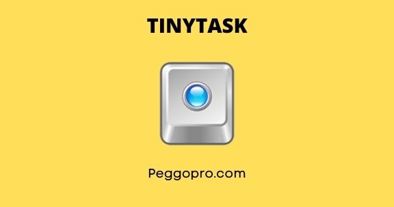 tinytask stops itself when recording